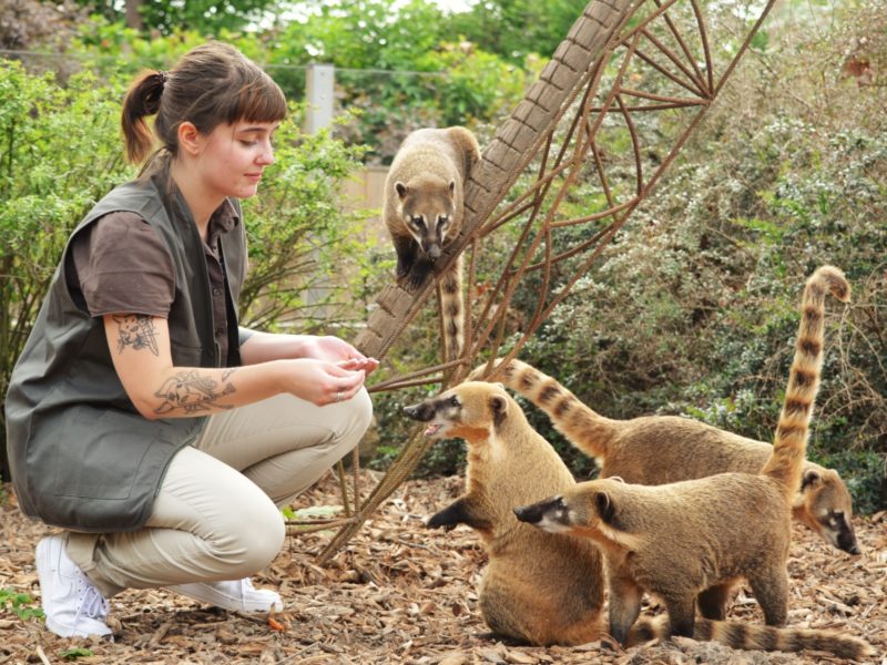 zoo champrepus soigneur jour 1 800x600