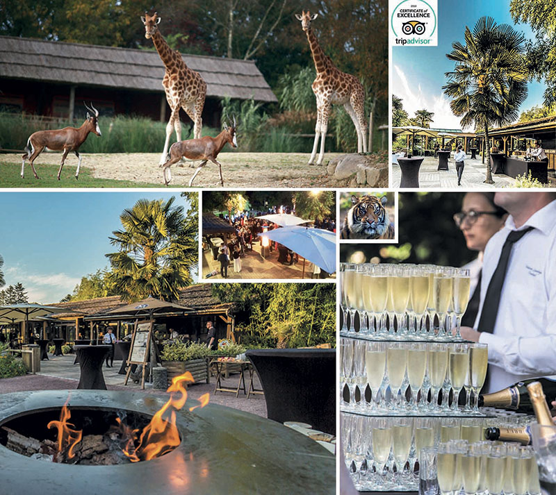 Soirées privatisées au Zoo de Champrépus