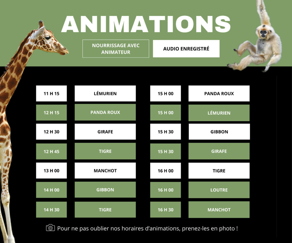Liste des animations 2025 au Zoo de Champrépus