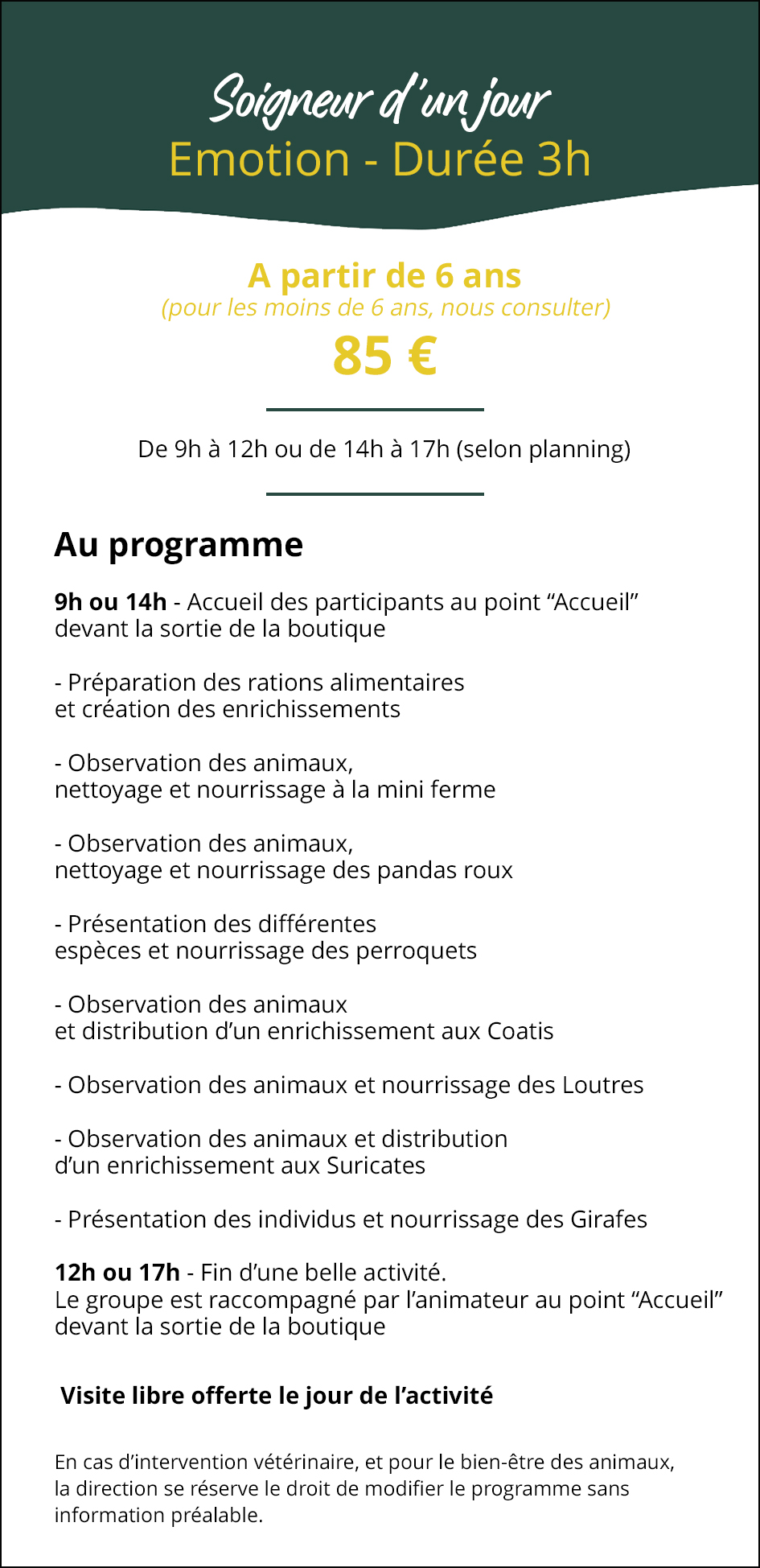 soigneur d'un jour emotion site internet copie 3