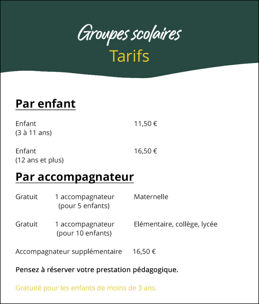 groupes scolaires copie