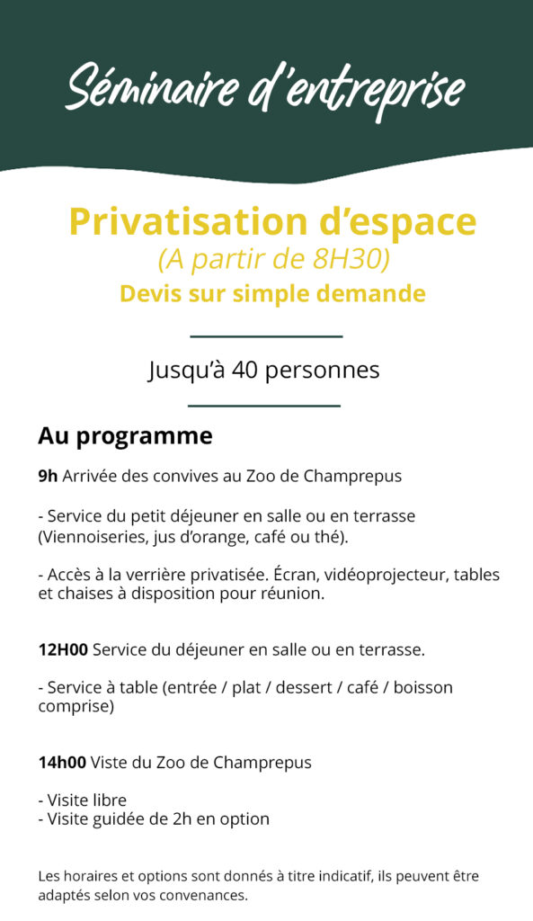 séminaire d'entreprise copie