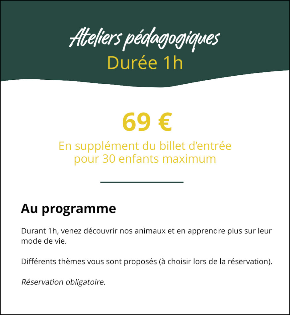 ateliers pédagogiques copie 2