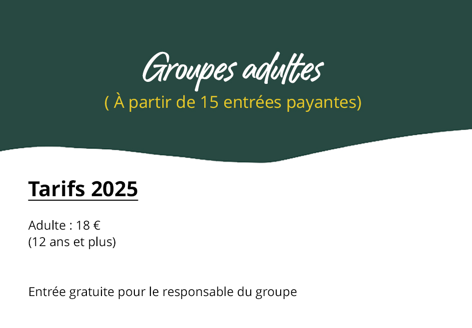 groupes adultes copie