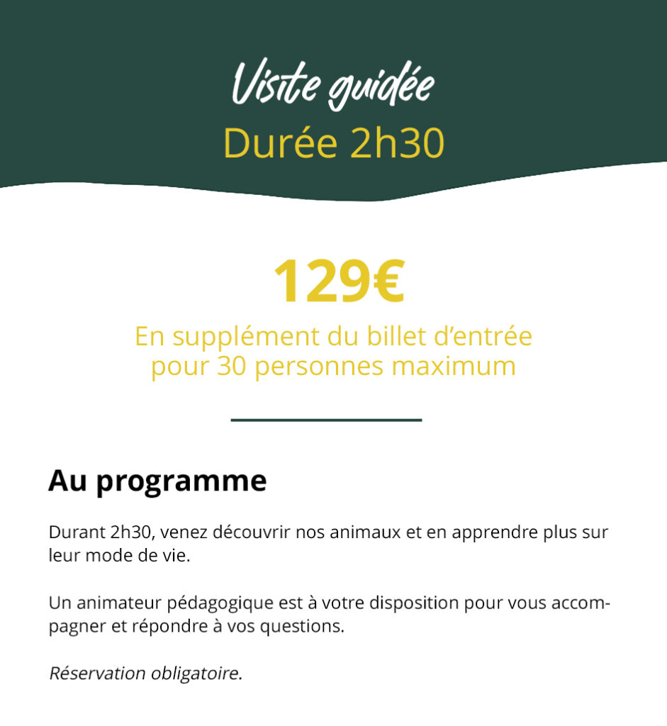 visite guidée copie