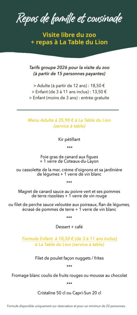 famille et cousinade copie