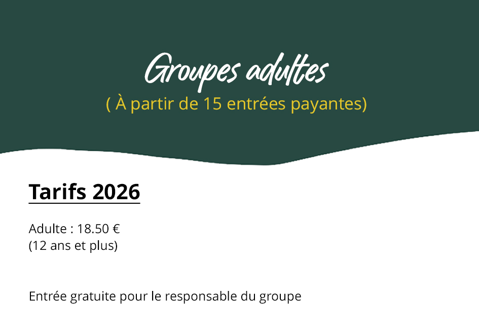 groupes adultes copie