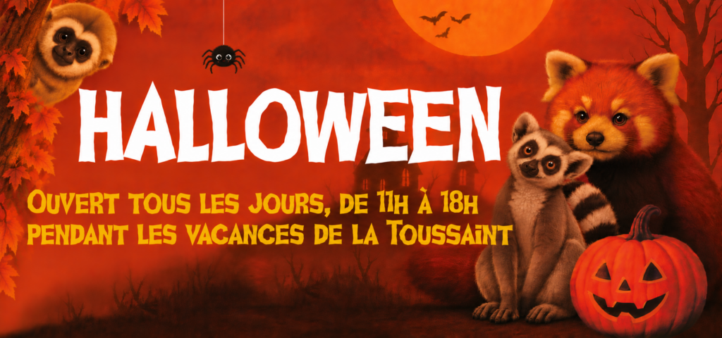 affiche d’halloween animalière enchantée
