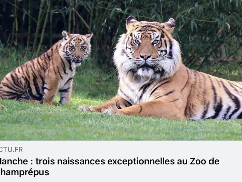La presse parle du Zoo